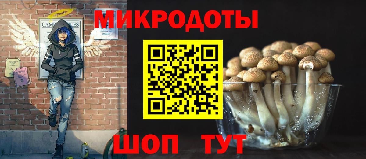 Галлюциногенные грибы Psilocybe Стерлитамак