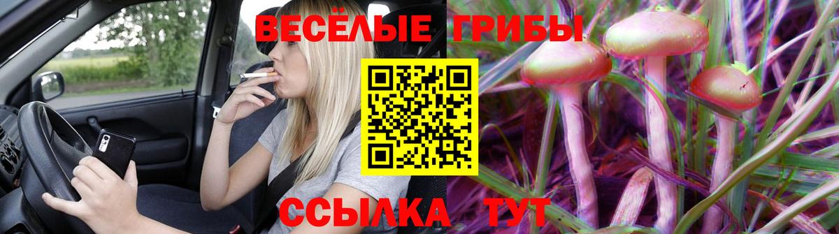 Галлюциногенные грибы Psilocybine cubensis  Галлюциногенные грибы мицелий  Стерлитамак  Вход с VPN 